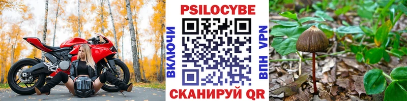 даркнет сайт  Усинск  Псилоцибиновые грибы GOLDEN TEACHER 